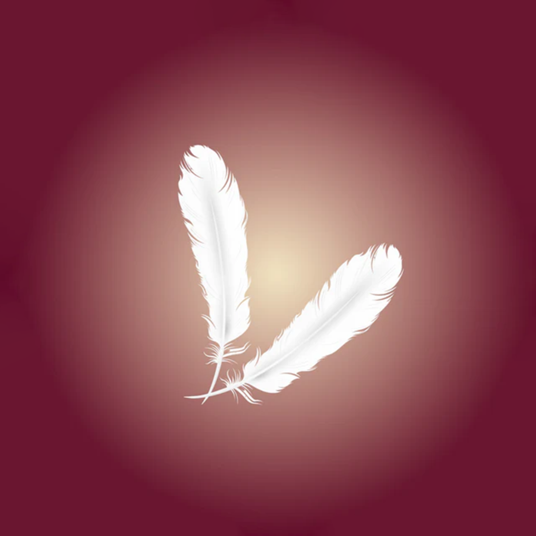 13_4b9f43f7-3041-4855-a74c-56daa58b4228.png