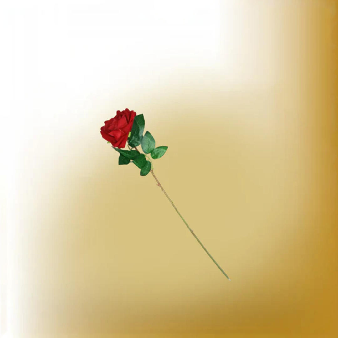 4_03526615-1505-40fc-8db7-939064b8e72e.png